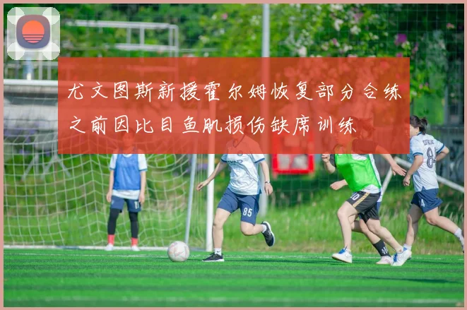 尤文图斯新援霍尔姆恢复部分合练之前因比目鱼肌损伤缺席训练